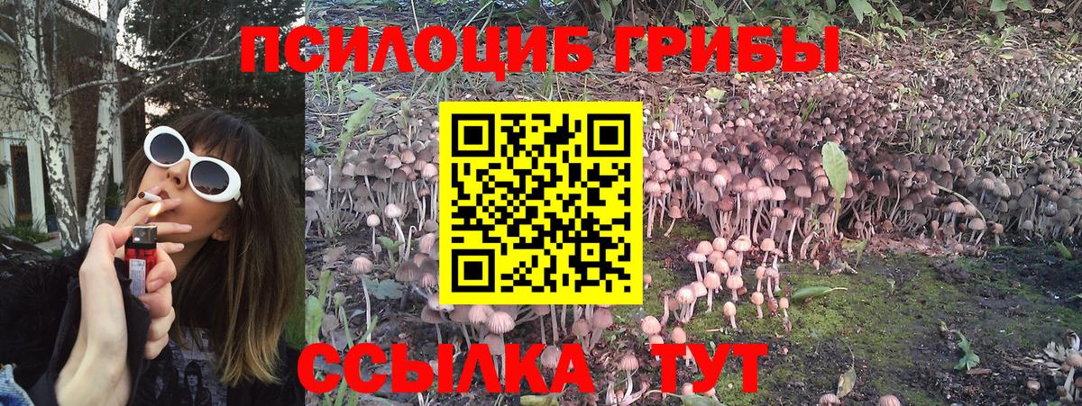Галлюциногенные грибы мицелий  где можно купить наркотик  Курчатов  Вход с VPN 